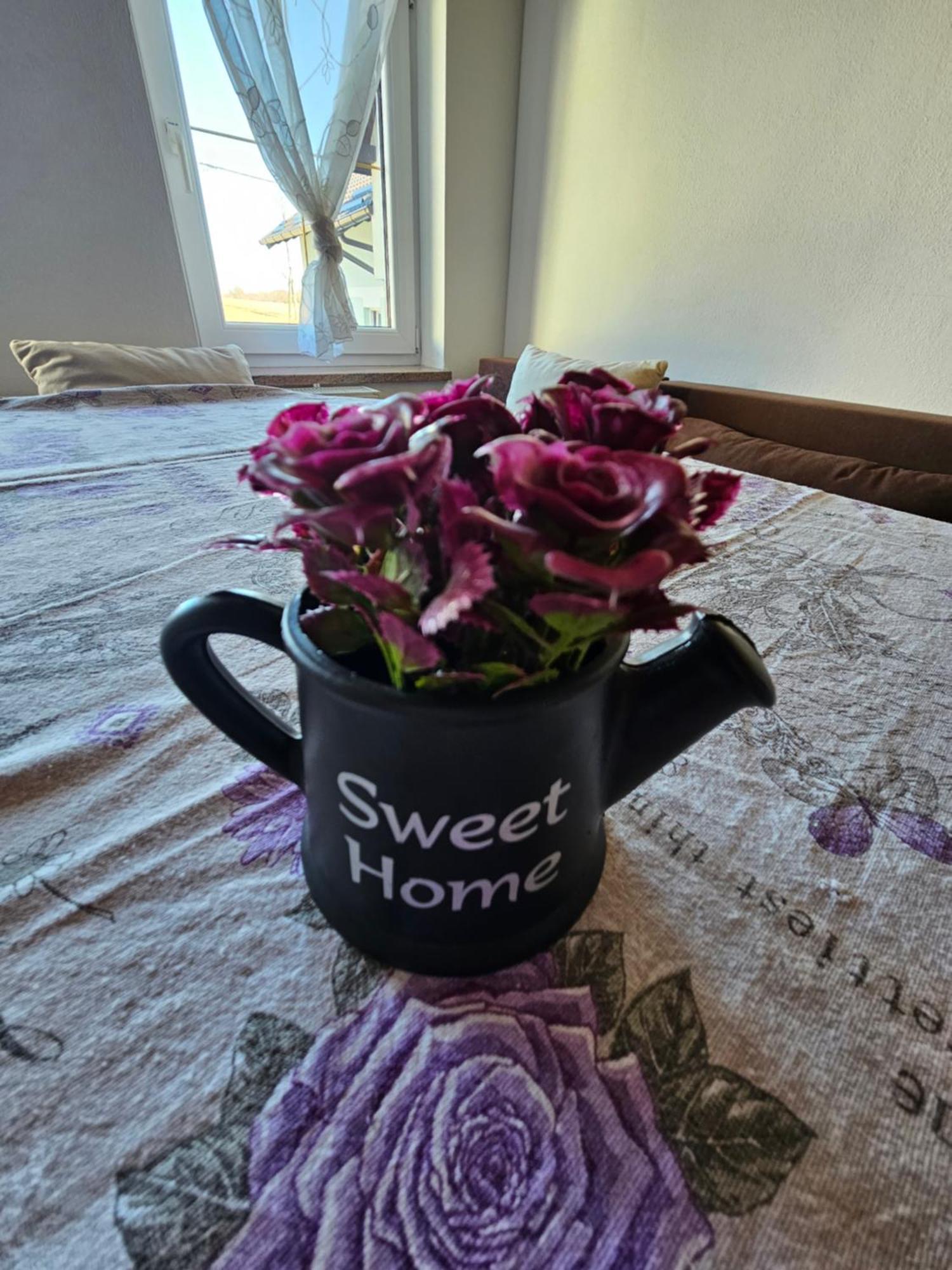 ホテル House Mirjana スモーヤナク エクステリア 写真